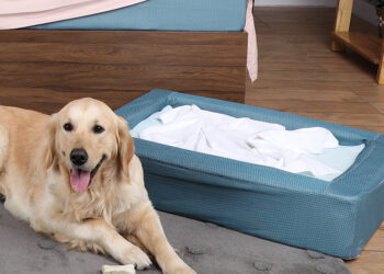 When It Comes to Dog Beds, You Need to Know How to Choose the Best One