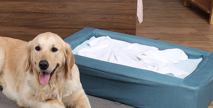 When It Comes to Dog Beds, You Need to Know How to Choose the Best One