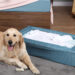 When It Comes to Dog Beds, You Need to Know How to Choose the Best One