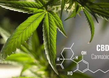 How Is Technology Affecting the CBD Industry