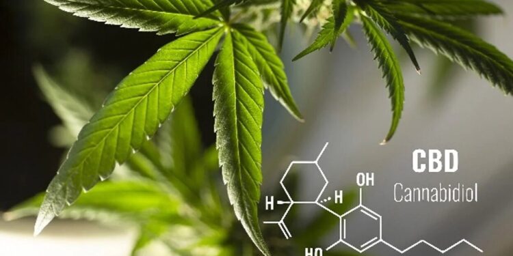 How Is Technology Affecting the CBD Industry