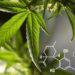 How Is Technology Affecting the CBD Industry