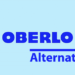 Oberlo alternatives
