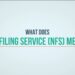 Meaning Of NFS