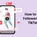 Ways to Get More Followers on TikTok