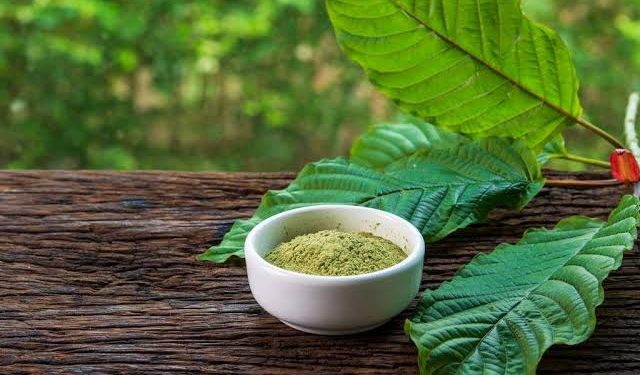 What Is Kratom?