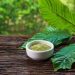 What Is Kratom?